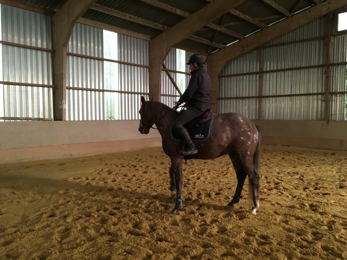 Ferme Gite Equestre En Charente Confolens Exterior photo